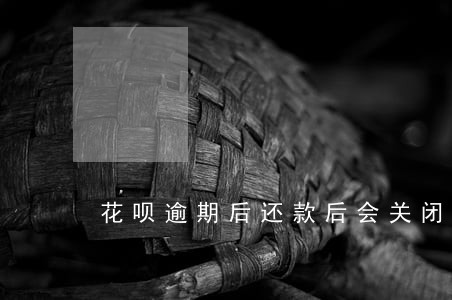 花呗逾期后还款后会关闭吗 花呗逾期后还款后会关闭吗