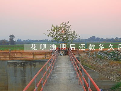 花呗逾期后还款多久后恢复可用 花呗逾期后还款多久后恢复可用