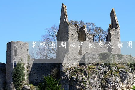 花呗逾期后还款多久能用 花呗逾期后还款多久能用