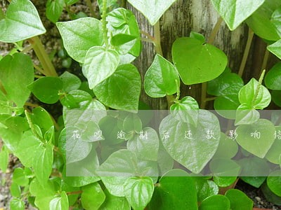 花呗逾期后还款影响信用吗