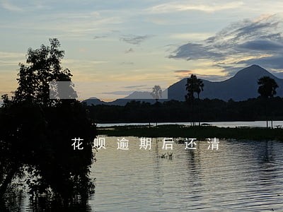 花呗逾期后还清 花呗逾期后还清