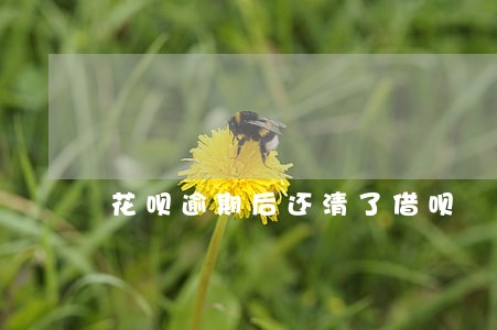 花呗逾期后还清了借呗 花呗逾期后还清了借呗