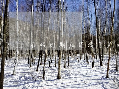 花呗逾期后还清了关闭再打开 花呗逾期后还清了关闭再打开