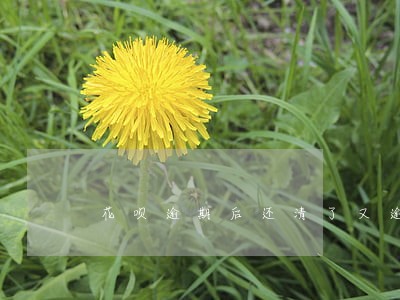 花呗逾期后还清了又逾期 花呗逾期后还清了又逾期