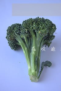 花呗逾期后还清了影响申请车贷吗 花呗逾期后还清了影响申请车贷吗