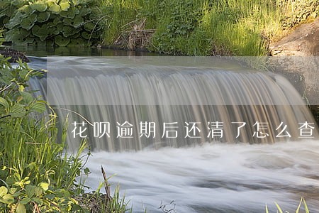 花呗逾期后还清了怎么查看 花呗逾期后还清了怎么查看