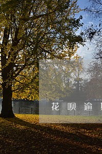 花呗逾期后还清了说账户冻结 花呗逾期后还清了说账户冻结