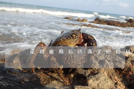 花呗逾期后还清了还扣利息吗 花呗逾期后还清了还扣利息吗