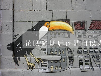 花呗逾期后还清可以办车贷吗 花呗逾期后还清可以办车贷吗