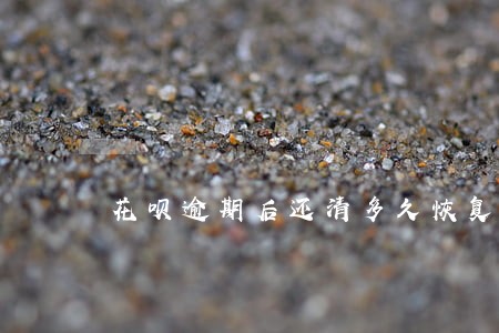 花呗逾期后还清多久恢复 花呗逾期后还清多久恢复