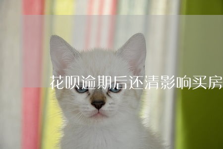 花呗逾期后还清影响买房子吗 花呗逾期后还清影响买房子吗