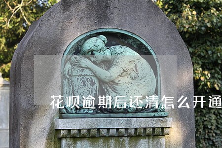 花呗逾期后还清怎么开通 花呗逾期后还清怎么开通