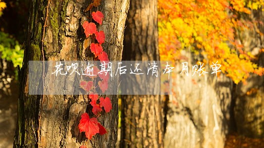 花呗逾期后还清本月账单 花呗逾期后还清本月账单