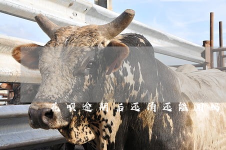 花呗逾期后还清还能用吗 花呗逾期后还清还能用吗
