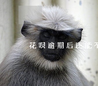 花呗逾期后还能不能借款 花呗逾期后还能不能借款