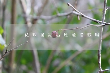 花呗逾期后还能借款吗 花呗逾期后还能借款吗
