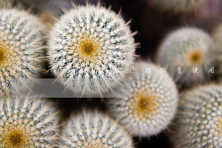 花呗逾期后还能恢复使用 花呗逾期后还能恢复使用