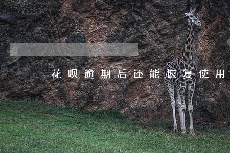花呗逾期后还能恢复使用吗 花呗逾期后还能恢复使用吗