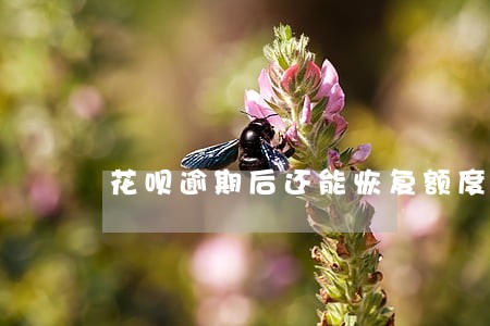 花呗逾期后还能恢复额度吗 花呗逾期后还能恢复额度吗