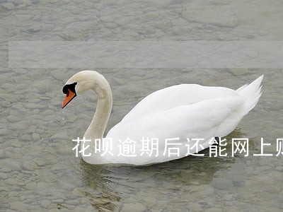 花呗逾期后还能网上购物吗