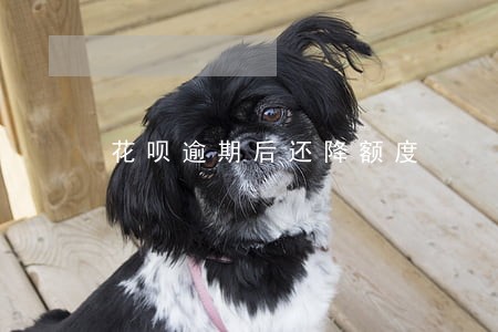 花呗逾期后还降额度 花呗逾期后还降额度