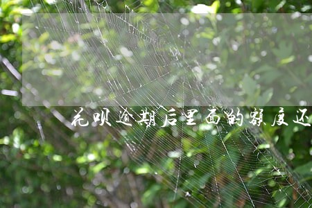花呗逾期后里面的额度还能用么 花呗逾期后里面的额度还能用么