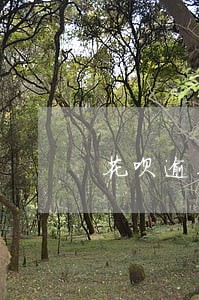 花呗逾期后额度为零 花呗逾期后额度为零