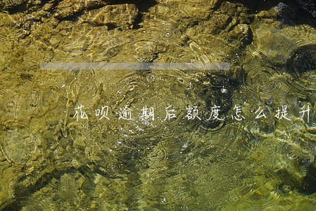 花呗逾期后额度怎么提升额度 花呗逾期后额度怎么提升额度
