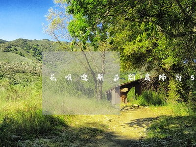 花呗逾期后额度降为500了 花呗逾期后额度降为500了