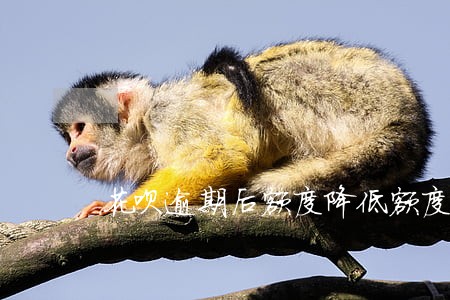 花呗逾期后额度降低额度 花呗逾期后额度降低额度