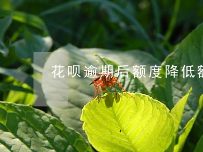 花呗逾期后额度降低额度怎么办 花呗逾期后额度降低额度怎么办