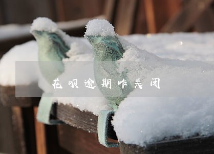 花呗逾期咋关闭