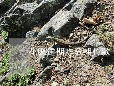 花呗逾期咋分期付款 花呗逾期咋分期付款