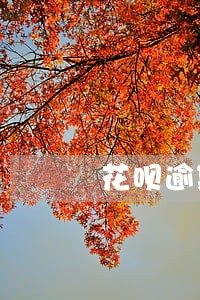 花呗逾期咋申请 花呗逾期咋申请