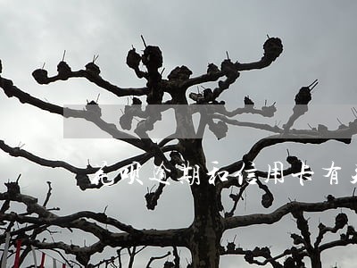 花呗逾期和信用卡有关联吗 花呗逾期和信用卡有关联吗