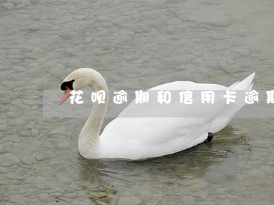 花呗逾期和信用卡逾期谁更严重 花呗逾期和信用卡逾期谁更严重
