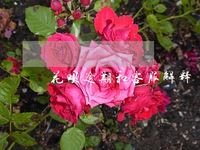 花呗逾期和客服解释 花呗逾期和客服解释
