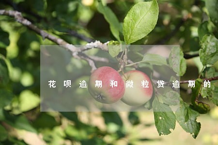 花呗逾期和微粒贷逾期的区别 花呗逾期和微粒贷逾期的区别