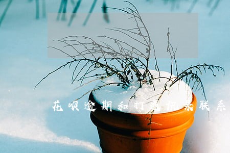 花呗逾期和打通讯录联系人吗 花呗逾期和打通讯录联系人吗