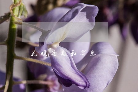 花呗逾期和罚息
