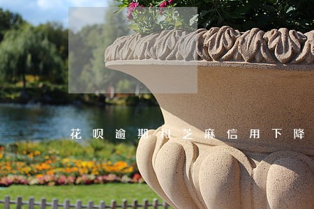 花呗逾期和芝麻信用下降多少 花呗逾期和芝麻信用下降多少