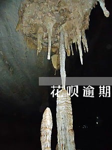 花呗逾期和谁协商 花呗逾期和谁协商