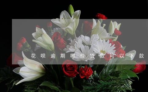 花呗逾期哪些贷款可以下款 花呗逾期哪些贷款可以下款