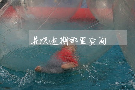 花呗逾期哪里查询 花呗逾期哪里查询