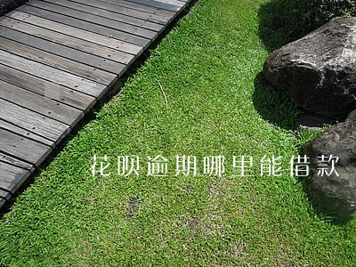 花呗逾期哪里能借款 花呗逾期哪里能借款