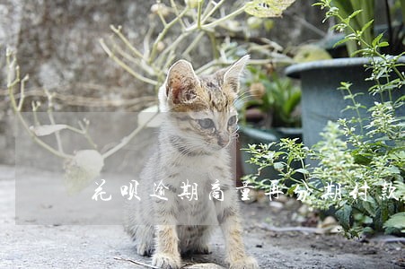 花呗逾期商量再分期付款吗 花呗逾期商量再分期付款吗