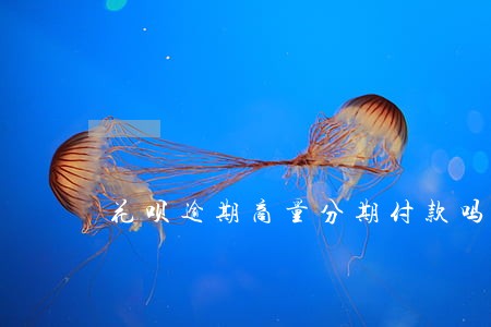 花呗逾期商量分期付款吗 花呗逾期商量分期付款吗