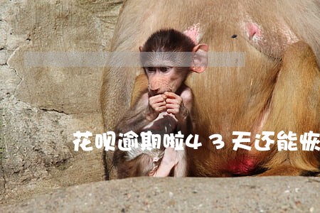 花呗逾期啦43天还能恢复吗