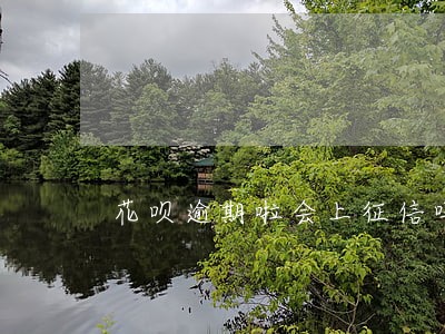 花呗逾期啦会上征信吗 花呗逾期啦会上征信吗