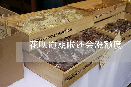 花呗逾期啦还会涨额度 花呗逾期啦还会涨额度